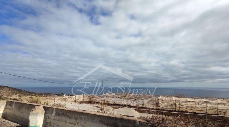 Санта-Крус-де-Тенерифе - La Guancha - 4261m2