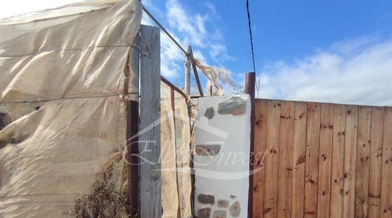Санта-Крус-де-Тенерифе - La Guancha - 4261m2