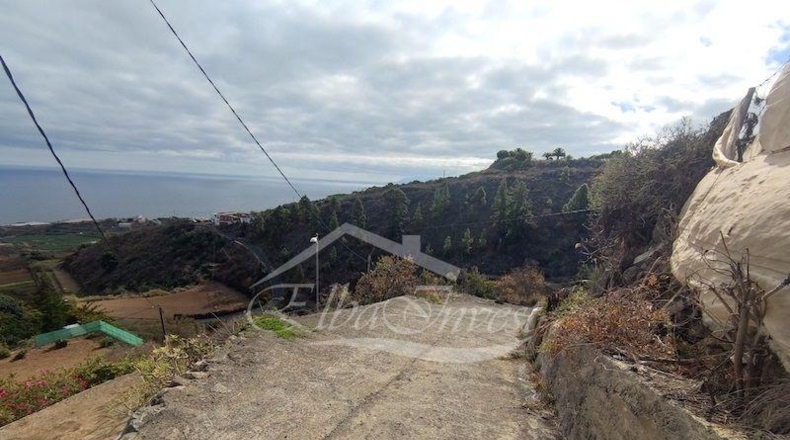 Санта-Крус-де-Тенерифе - La Guancha - 4261m2