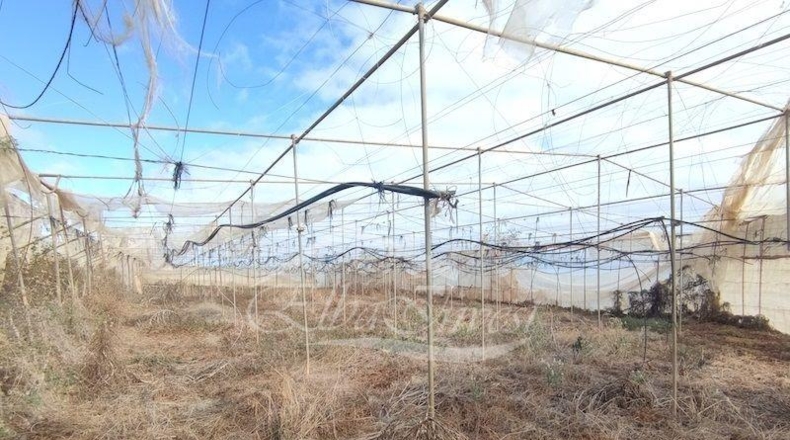 Санта-Крус-де-Тенерифе - La Guancha - 4261m2