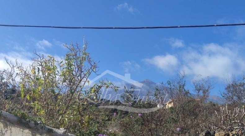 Санта-Крус-де-Тенерифе - La Guancha - 4261m2