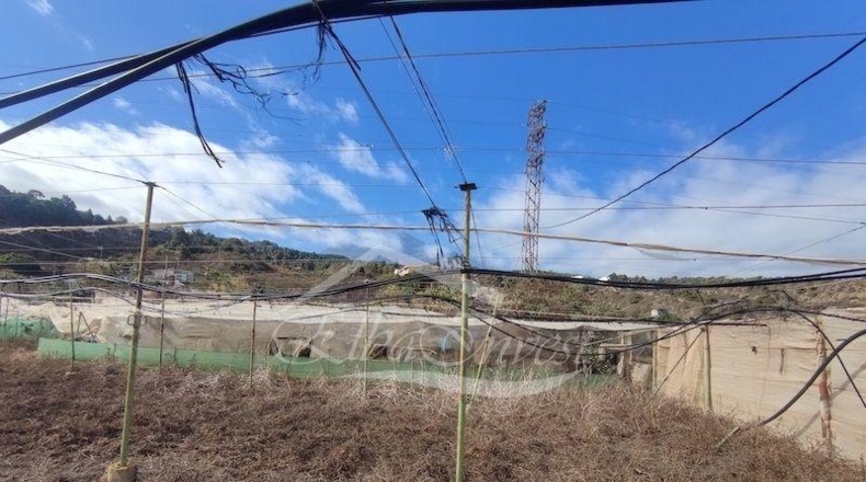 Санта-Крус-де-Тенерифе - La Guancha - 4261m2