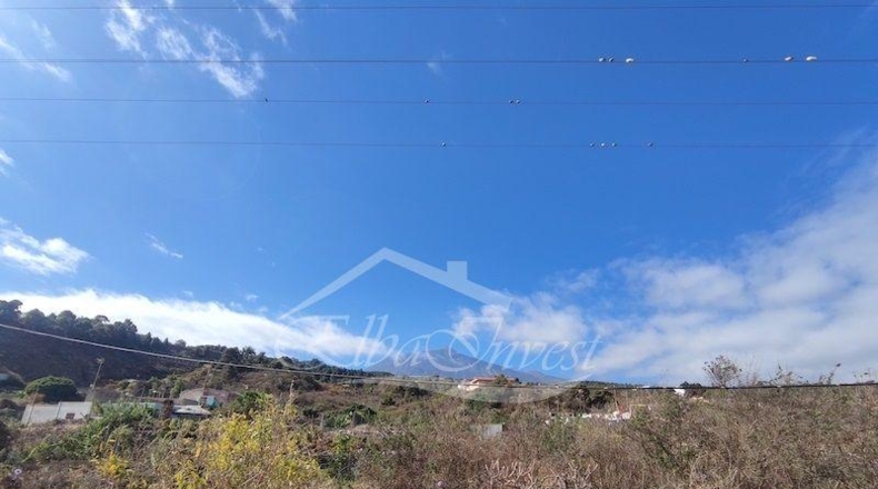 Санта-Крус-де-Тенерифе - La Guancha - 4261m2