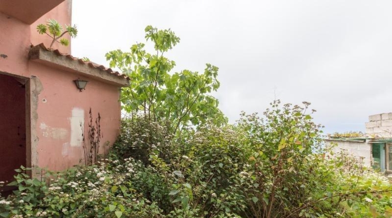 Santa Cruz de Tenerife - Icod de los Vinos - 307m2