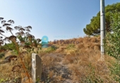 Casa de campo con terreno en venta en la España, Totana, ref: TR314180 foto