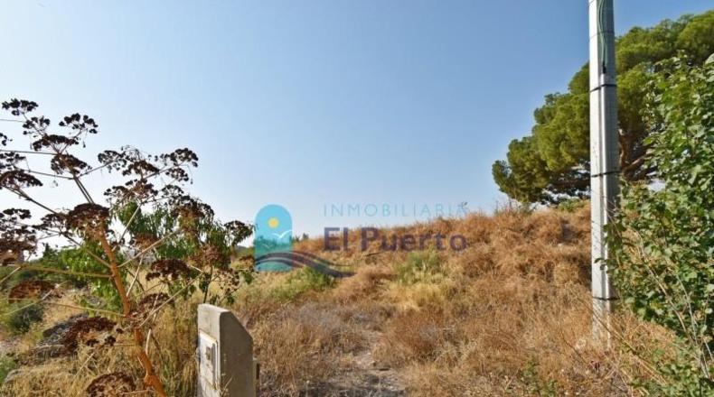 Murcia - Totana - 14110m2