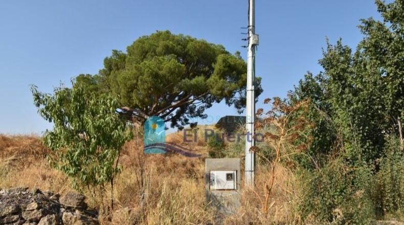Murcia - Totana - 14110m2