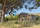 Casa de campo con terreno en venta en la España, Totana, ref: TR314180 foto