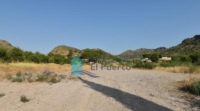 Murcia - Totana - 14110m2