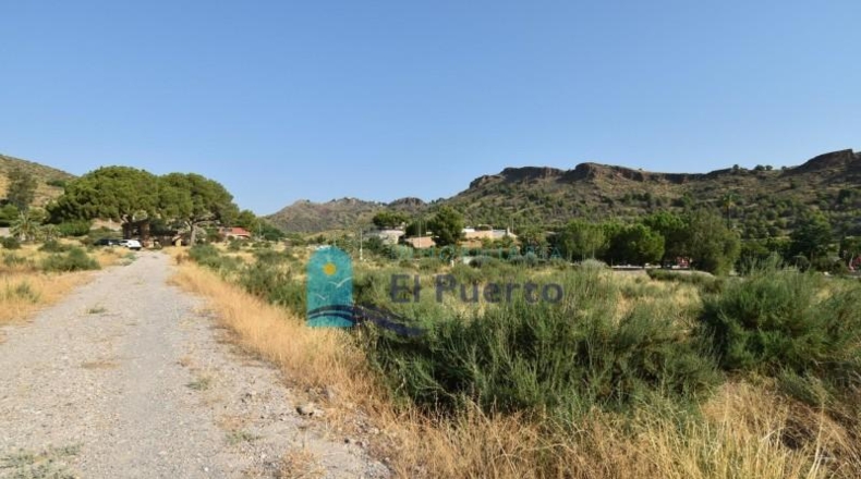 Murcia - Totana - 14110m2