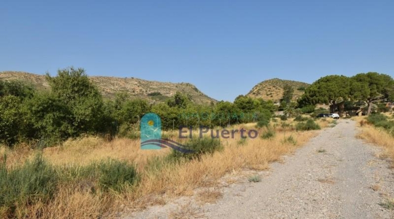 Murcia - Totana - 14110m2