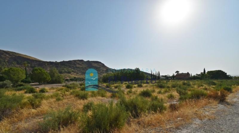 Murcia - Totana - 14110m2