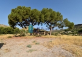 Casa de campo con terreno en venta en la España, Totana, ref: TR314180 foto