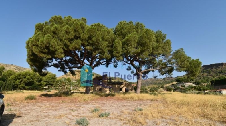 Murcia - Totana - 14110m2
