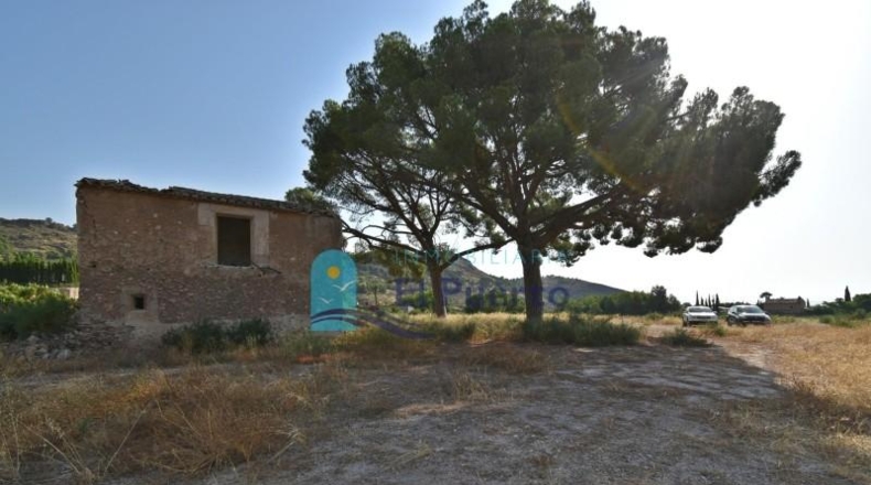 Murcia - Totana - 14110m2