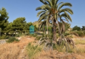 Casa de campo con terreno en venta en la España, Totana, ref: TR314180 foto
