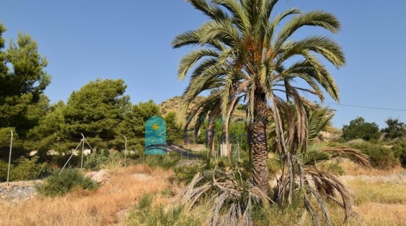 Murcia - Totana - 14110m2