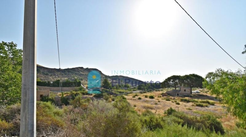 Murcia - Totana - 14110m2