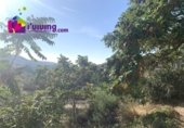 Casa de camp amb terreny en venda a la España, Oria, ref.: TR380831 foto