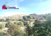 Casa de camp amb terreny en venda a la España, Oria, ref.: TR380831 foto