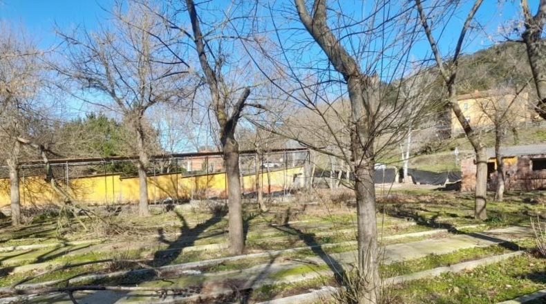 Gerona - Sant Feliu de Pallerols - 6024m2