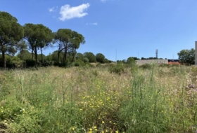 l'Escala 733&nbsp;м²