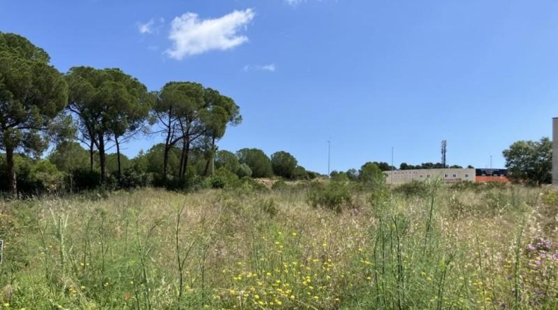 Gerona - l'Escala - 733m2