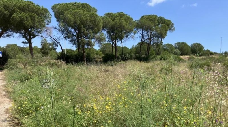 Gerona - l'Escala - 733m2