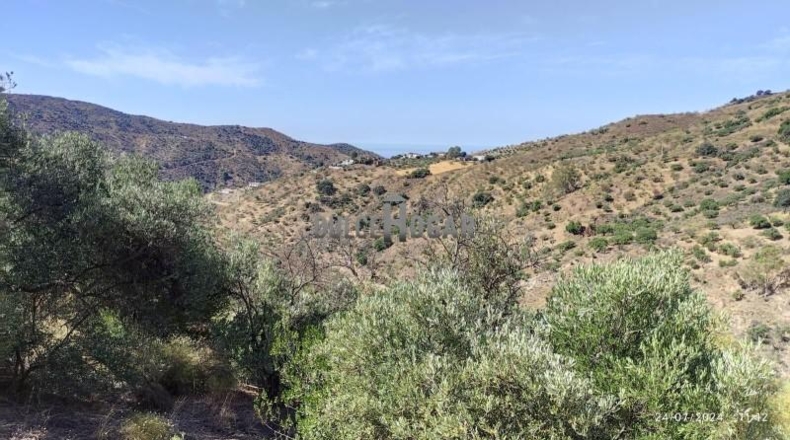 Málaga - Màlaga - 10000m2