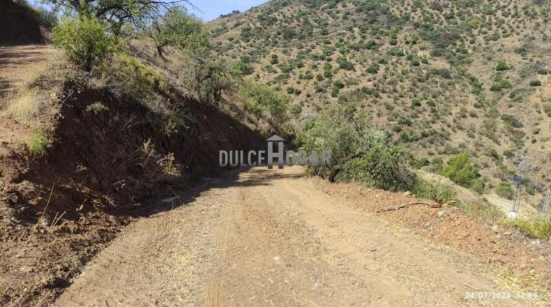 Málaga - Màlaga - 10000m2