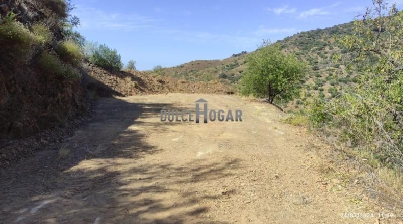 Málaga - Màlaga - 10000m2