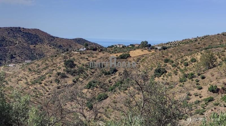 Málaga - Màlaga - 10000m2