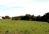 Terreny no urbanitzable en venda a la España, Cortes de la Frontera, ref.: TR127352 foto