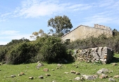 Terreny no urbanitzable en venda a la España, Cortes de la Frontera, ref.: TR127352 foto