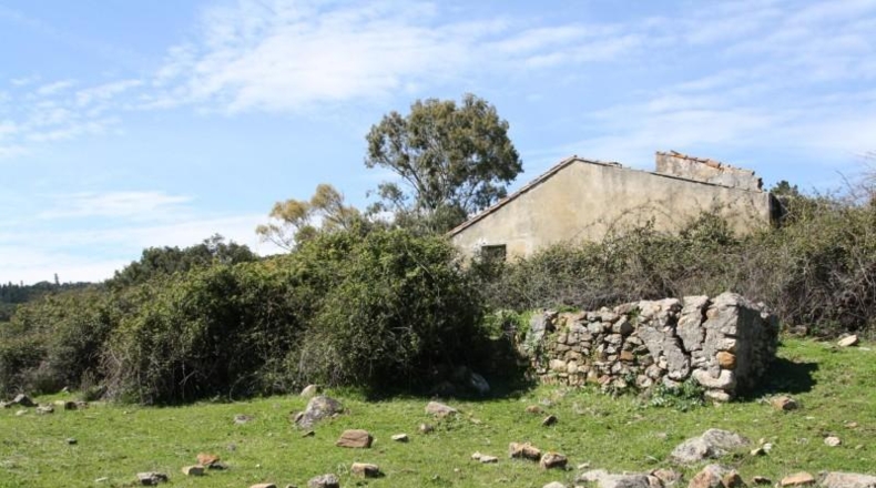 Málaga - Cortes de la Frontera - 13000m2