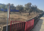 Land suitable for development for sale on España, Ahigal, ref: TR130252 photo