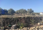 Land suitable for development for sale on España, Ahigal, ref: TR130252 photo