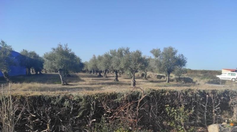 Caceres - Ahigal - 2196m2