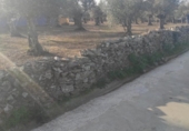Land suitable for development for sale on España, Ahigal, ref: TR130252 photo