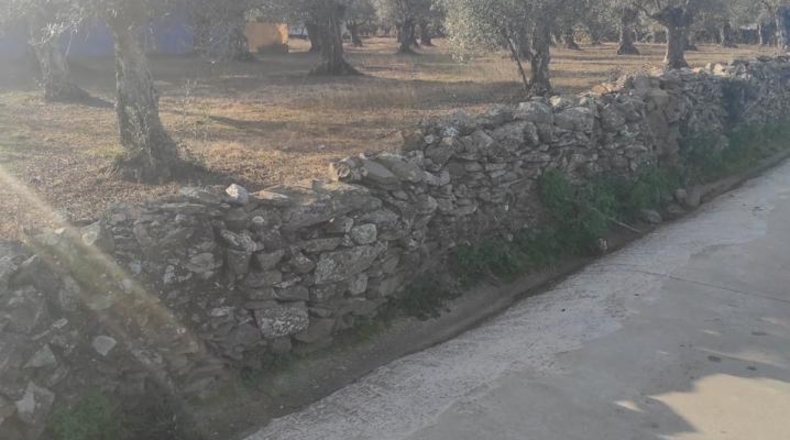 Caceres - Ahigal - 2196m2