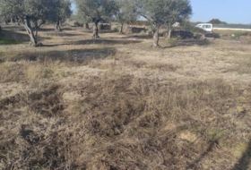 Ahigal 2196&nbsp;m² 