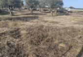 Land suitable for development for sale on España, Ahigal, ref: TR130252 photo