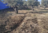 Land suitable for development for sale on España, Ahigal, ref: TR130252 photo