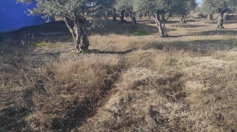 Caceres - Ahigal - 2196m2