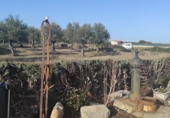 Land suitable for development for sale on España, Ahigal, ref: TR130252 photo