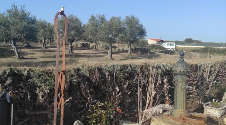 Caceres - Ahigal - 2196m2