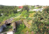 Xalet independent amb terreny en venda a la España, Icod de los Vinos, ref.: TR160692 foto