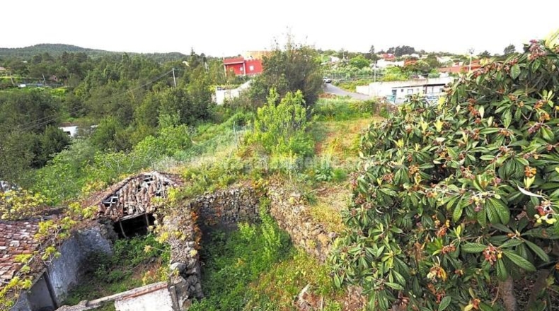 Santa Cruz de Tenerife - Icod de los Vinos - 1241m2