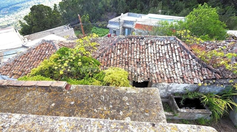 Santa Cruz de Tenerife - Icod de los Vinos - 1241m2