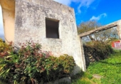 Xalet independent amb terreny en venda a la España, Icod de los Vinos, ref.: TR160692 foto